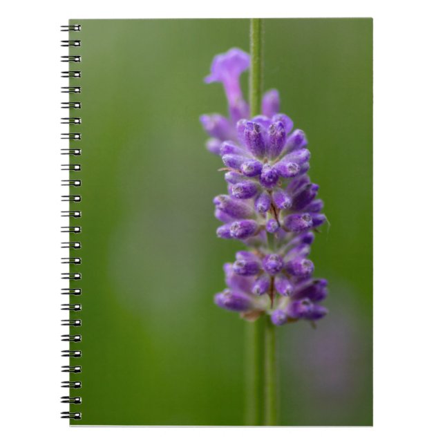Cuaderno Ein beruhigender Hauch von Lavendel... (Frente)