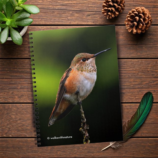 Cuaderno El Adorable Hummingbird Rufous en una rama (Rufous Hummingbird Poses on the Hybrid Fruit Tree Journal Cover Photo 2)