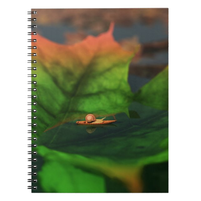 Cuaderno El Agua Es Amplia. (Frente)