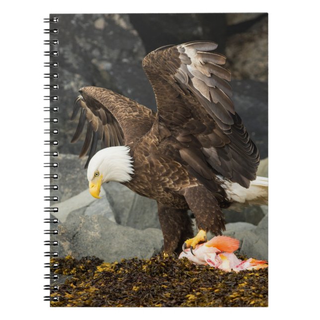 Cuaderno El águila calva suprema (Frente)