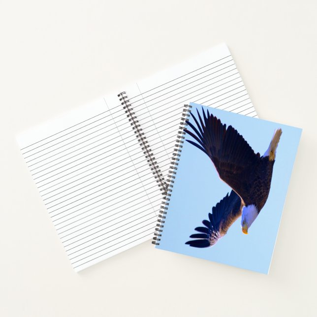 Cuaderno El águila calva volando (Interior)