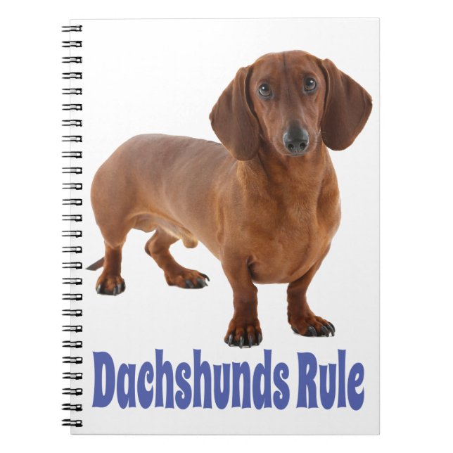 Cuaderno El amor azul del perro cachorro de Dachshund (Frente)