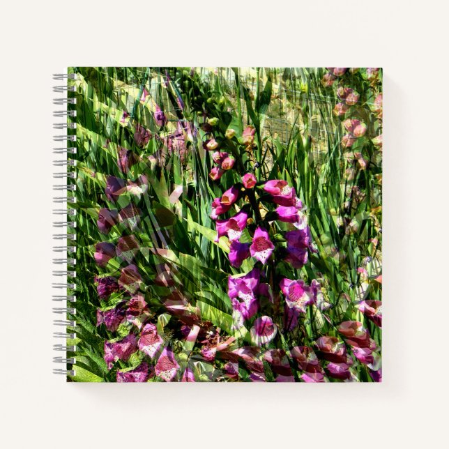 Cuaderno El amor de Foxglove... (Anverso)