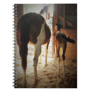Cuaderno El amor del lirio
