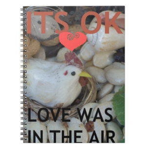 Cuaderno El amor estaba en el aire