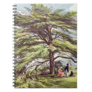 Cuaderno El árbol de cedro de Líbano en el arboreto, Kew