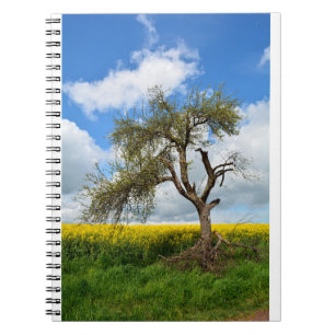 Cuaderno El árbol viejo