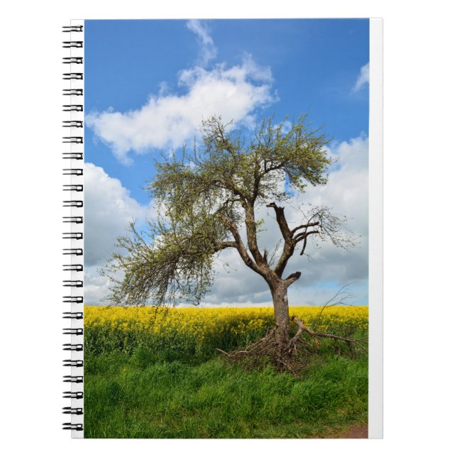 Cuaderno El árbol viejo (Frente)