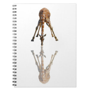 CUADERNO EL BESO