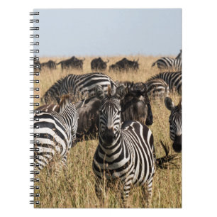 Cuaderno El bloc de notas de cebra de Grant