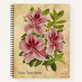 Cuaderno El bloc de notas secreto del Azalea