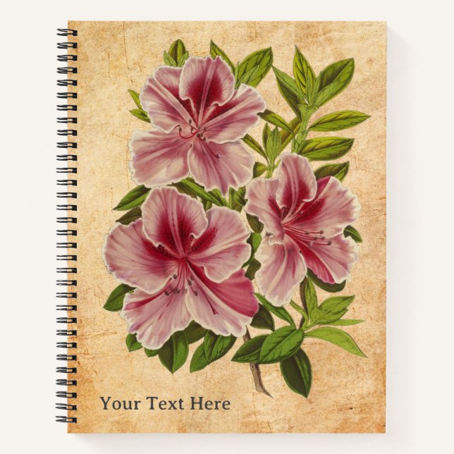 Cuaderno El bloc de notas secreto del Azalea (Anverso)