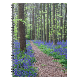 Cuaderno El bosque de Halle el   Halle, Bélgica