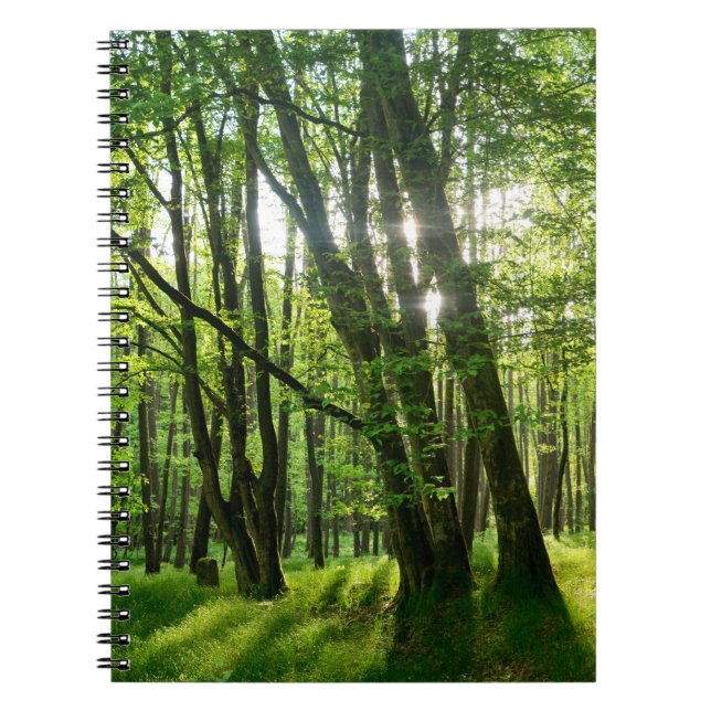 Cuaderno El bosque en primavera (Frente)