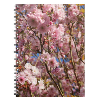Cuaderno El brillante color primaveral del cerezo en flor