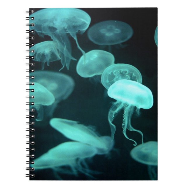 Cuaderno el brillar intensamente de los pescados de jalea (Frente)