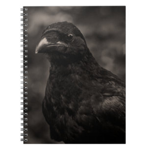 Cuaderno El Buscador