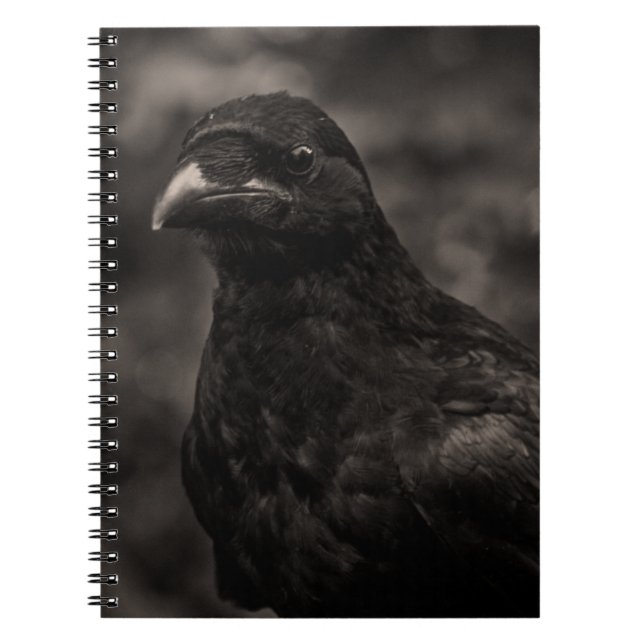 Cuaderno El Buscador (Frente)