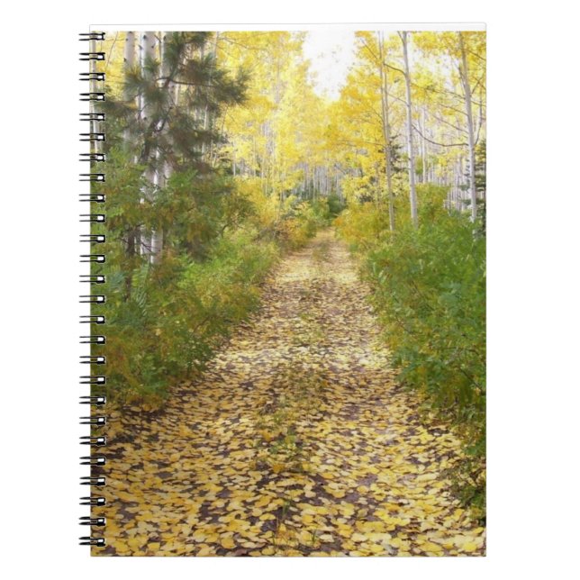 Cuaderno El camino que dejas atrás (Frente)
