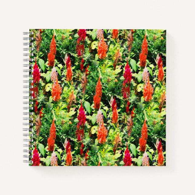 Cuaderno El campo de flores..... (Anverso)