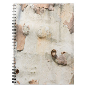 Cuaderno El camuflaje del árbol del avión parece un patrón