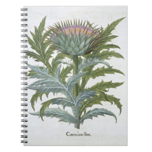 Cuaderno El cardo, del "Hortus Eystettensis" por Bas