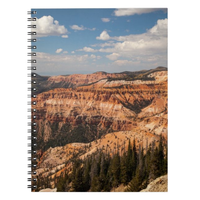 Cuaderno El cedro rompe el monumento nacional, Utah (Frente)