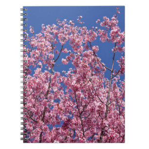 Cuaderno El cerezo Sakura florece en el azul