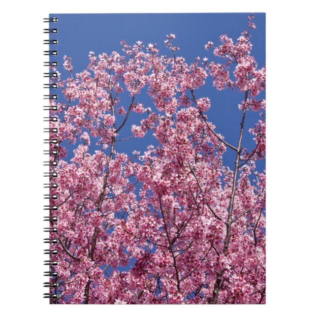 Cuaderno El cerezo Sakura florece en el azul (Frente)