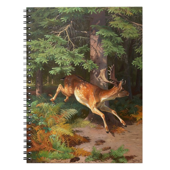 Cuaderno El Cerro Rojo En El Bosque (Frente)