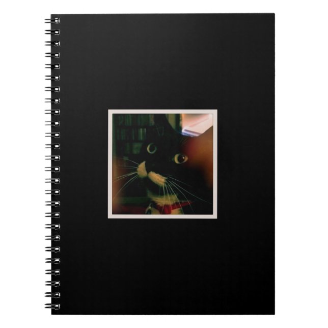 Cuaderno El cierre de Lucy (Frente)