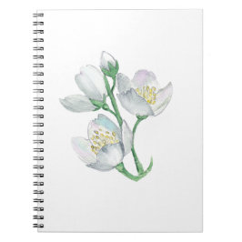 Cuaderno El compañero perfecto: el mejor portátil para cada