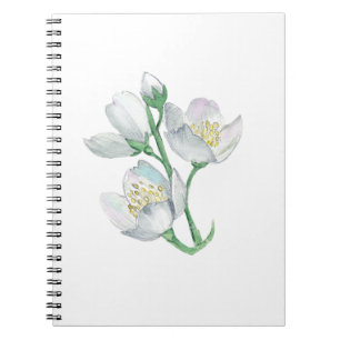 Cuaderno El compañero perfecto: el mejor portátil para cada