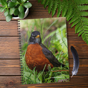 Cuaderno El curioso Robin Songbird en la hierba