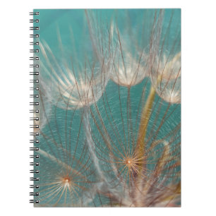 Cuaderno El dandelion blanco en la fotografía de primer pla