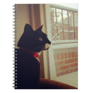 Cuaderno El Día de la Nieve de Lucy