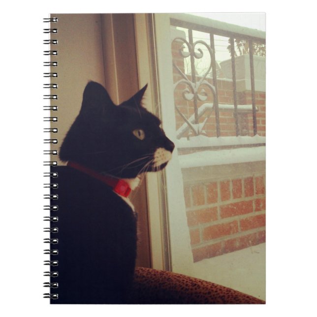 Cuaderno El Día de la Nieve de Lucy (Frente)