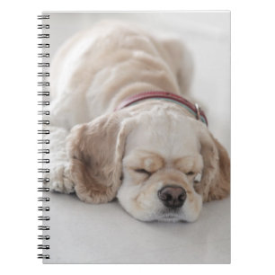 Cuaderno El dormir del perro de cocker spaniel