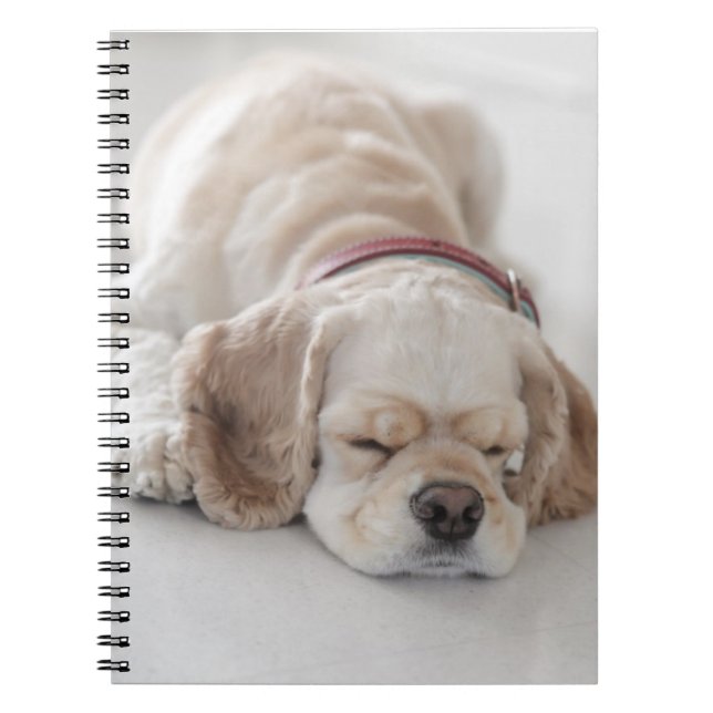 Cuaderno El dormir del perro de cocker spaniel (Frente)
