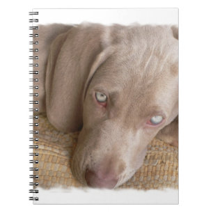 Cuaderno el dormir Weimaraner