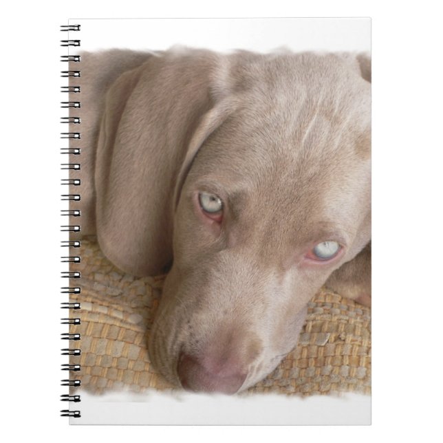 Cuaderno el dormir Weimaraner (Frente)