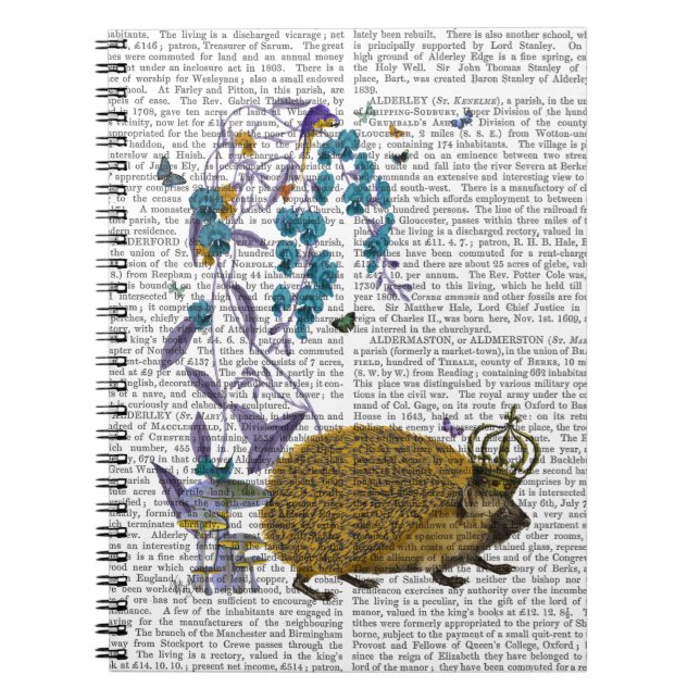 Cuaderno El edgehog de oro (Frente)