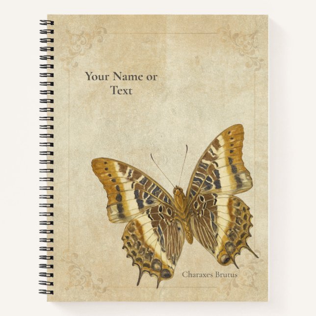 Cuaderno El emperador de barras blancas (Charaxes Brutus) (Anverso)