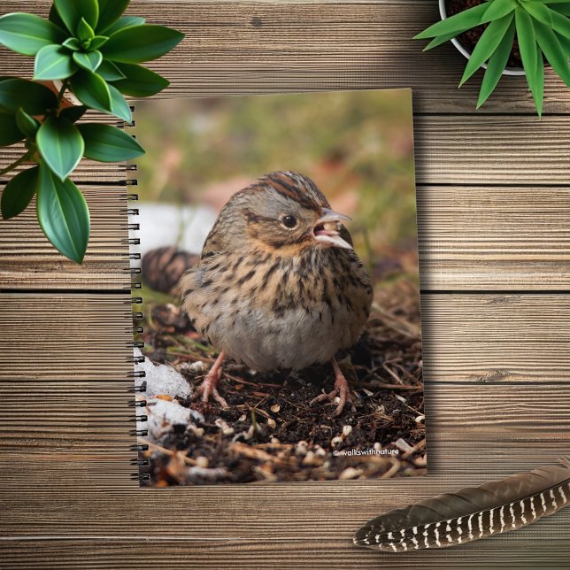 Cuaderno El escándalo de Cute and Spunky Lincoln (Spunky Lincoln's Sparrow in the Snow Journal Cover Photo)