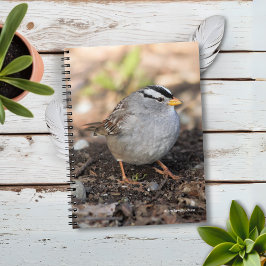 Cuaderno El espantapájaros de corona blanca en el sol de in