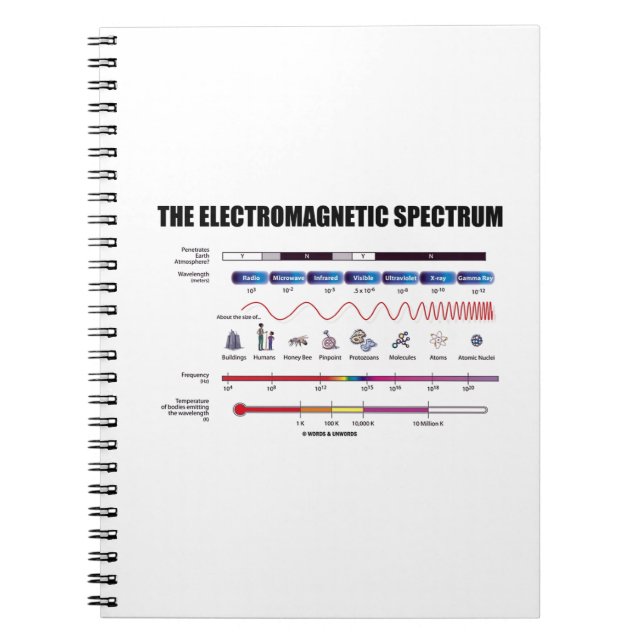 Cuaderno El espectro electromágnetico (longitudes de onda d (Frente)
