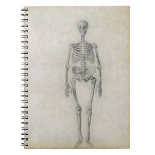 Cuaderno El esqueleto humano, visión anterior, desde la
