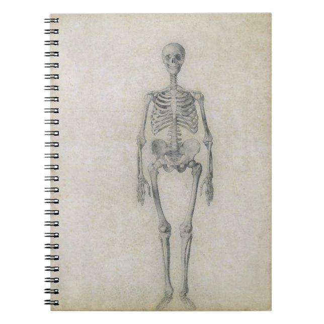 Cuaderno El esqueleto humano, visión anterior, desde la (Frente)