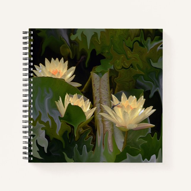 Cuaderno El estanque de la Fae.... (Anverso)