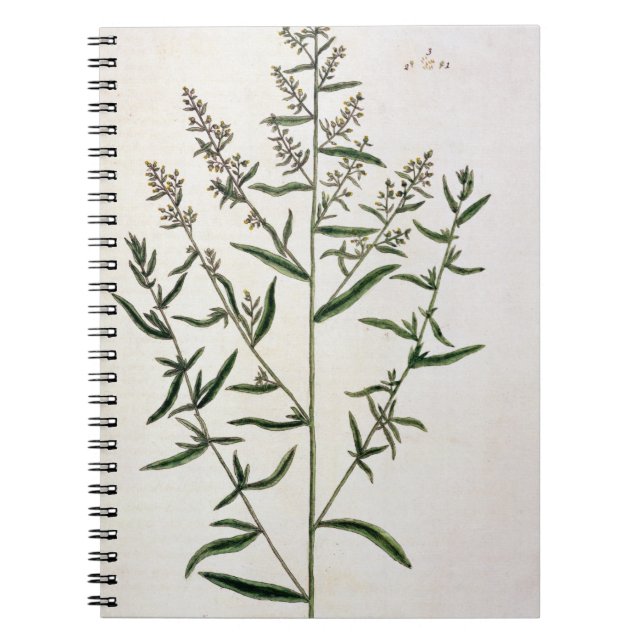 Cuaderno El estragón, platea 116 "de un herbario curioso", (Frente)